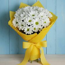 Букет цветов из:  Хризантемы в Большие Березники Мордовия