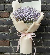 Букет цветов из:  Гипсофила в Большие Березники Мордовия