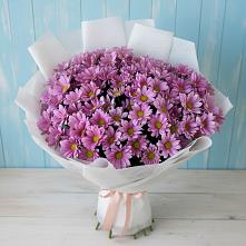 Букет цветов из:  Хризантемы в Большие Березники Мордовия
