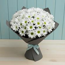 Букет цветов из:  Хризантемы в Большие Березники Мордовия