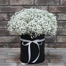 Цветочная композиция из Гипсофила в шляпной коробке в Большие Березники Мордовия